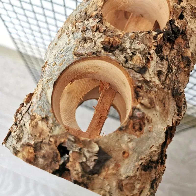 Pet Hamster Toy Natural Apple  - Woodworking Rabbet ulasan dan harga