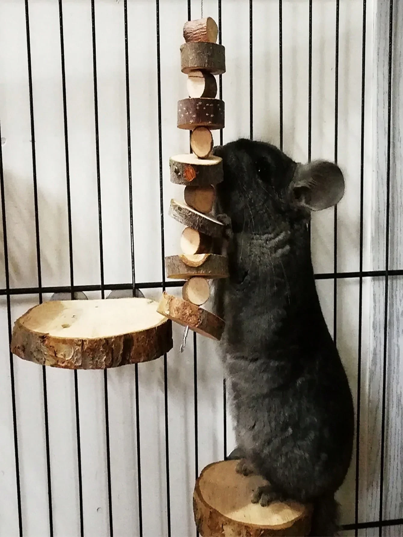 Hamster Rabbit Chew Toy Natura - Woodworking Rabbet ulasan dan harga