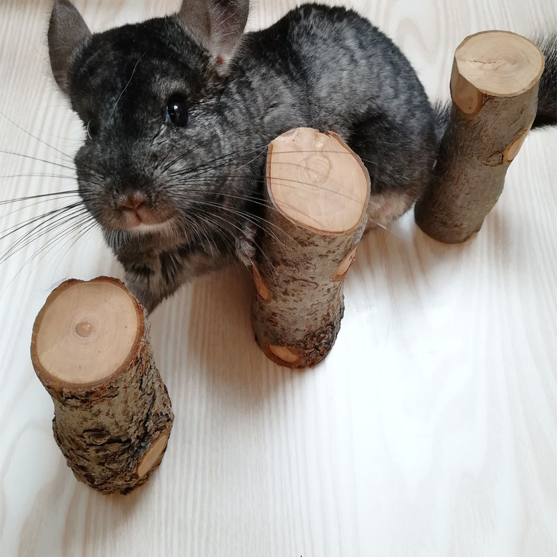 Pet Hamster Toy Natural Apple  - Woodworking Rabbet ulasan dan harga