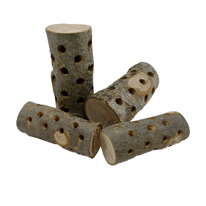 Small Animal Chew Toy Natural  - Woodworking Rabbet ulasan dan harga