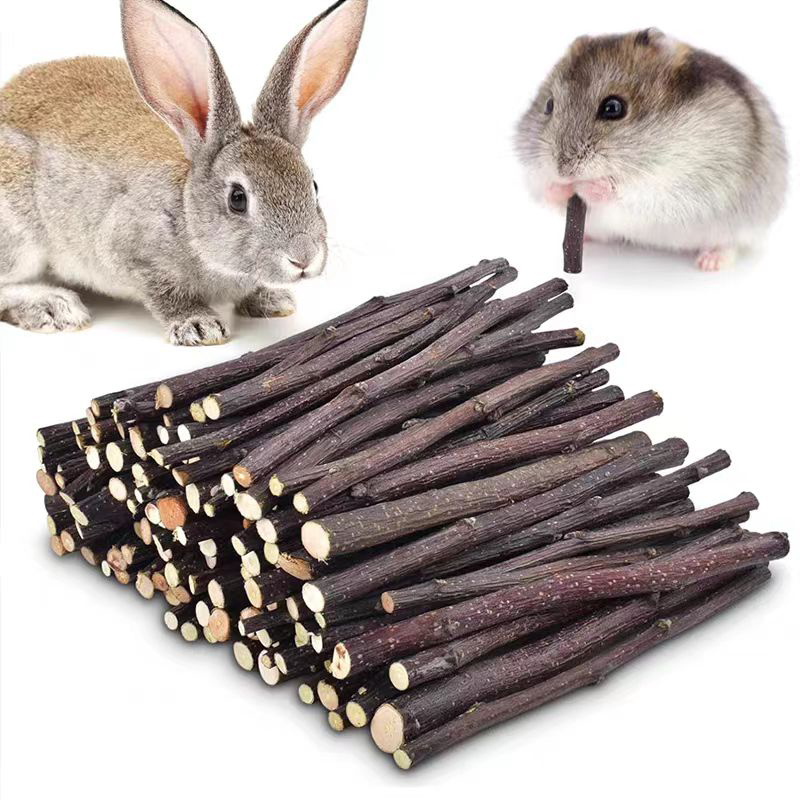 20/40/80/100pcs Hamster Rabbit - Woodworking Rabbet ulasan dan harga