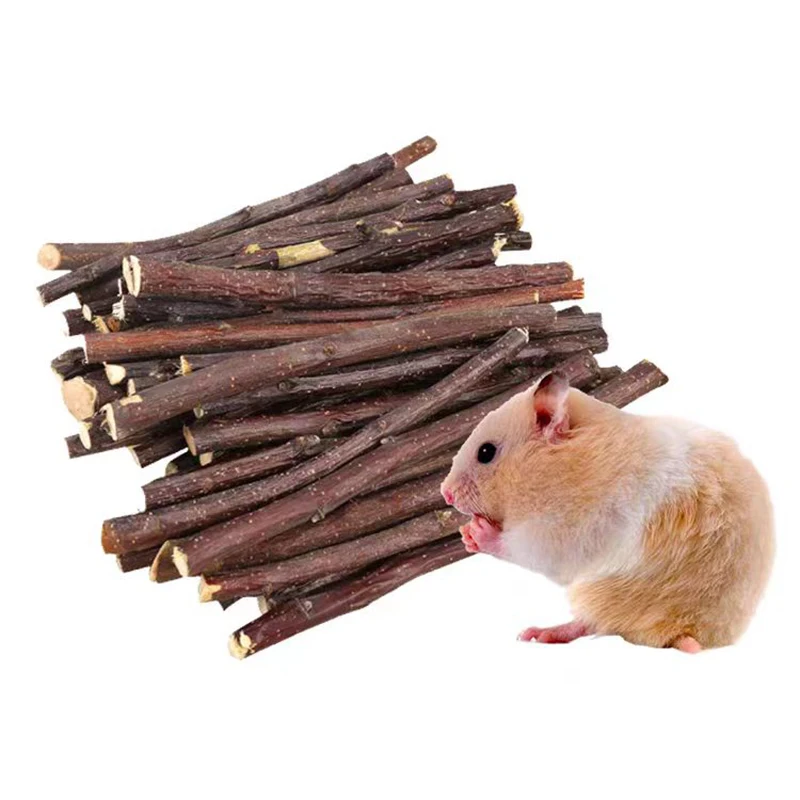 20/40/80/100pcs Hamster Rabbit - Woodworking Rabbet ulasan dan harga