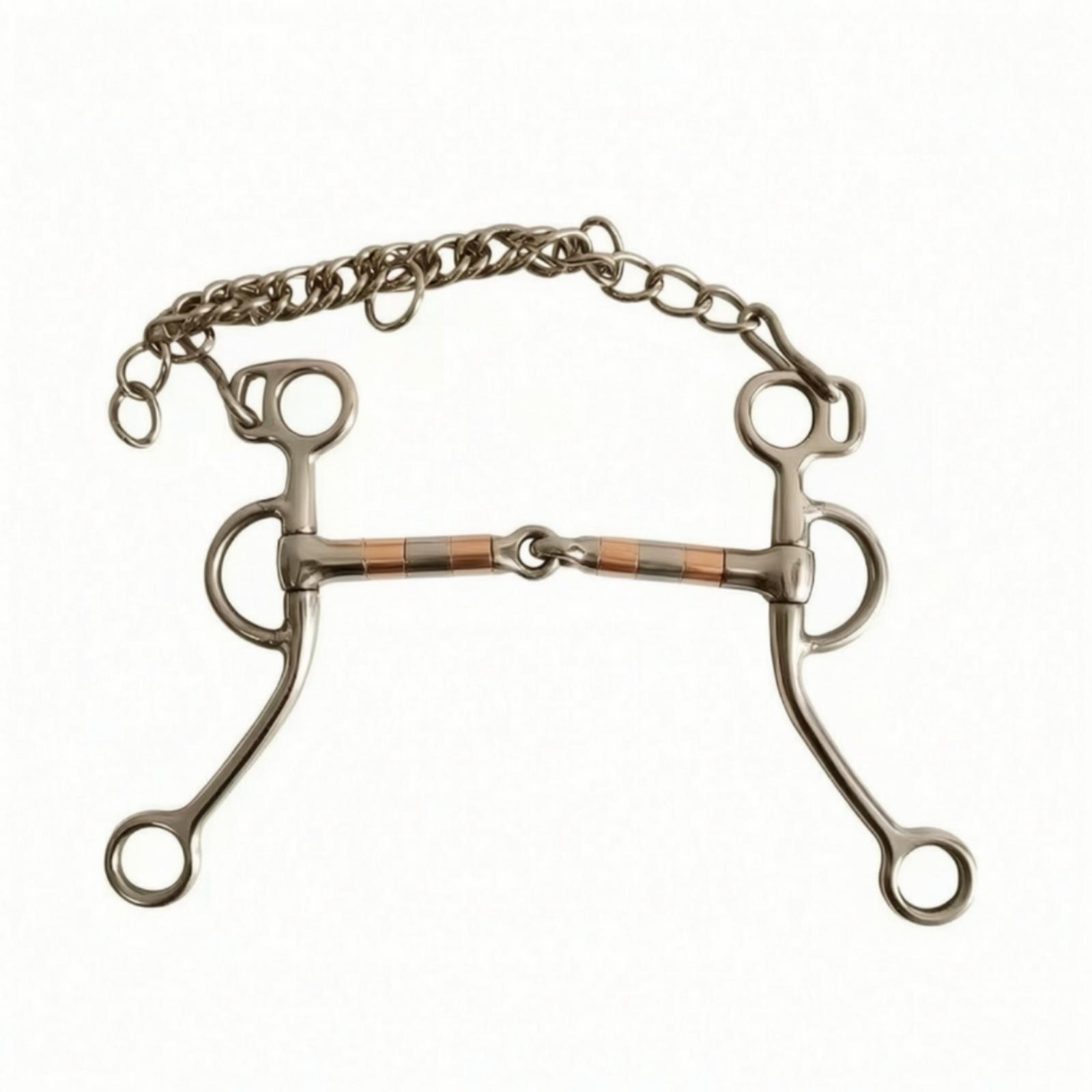 Horse Bit with Curb Chain Stai - Woodworking Joints ulasan dan harga
