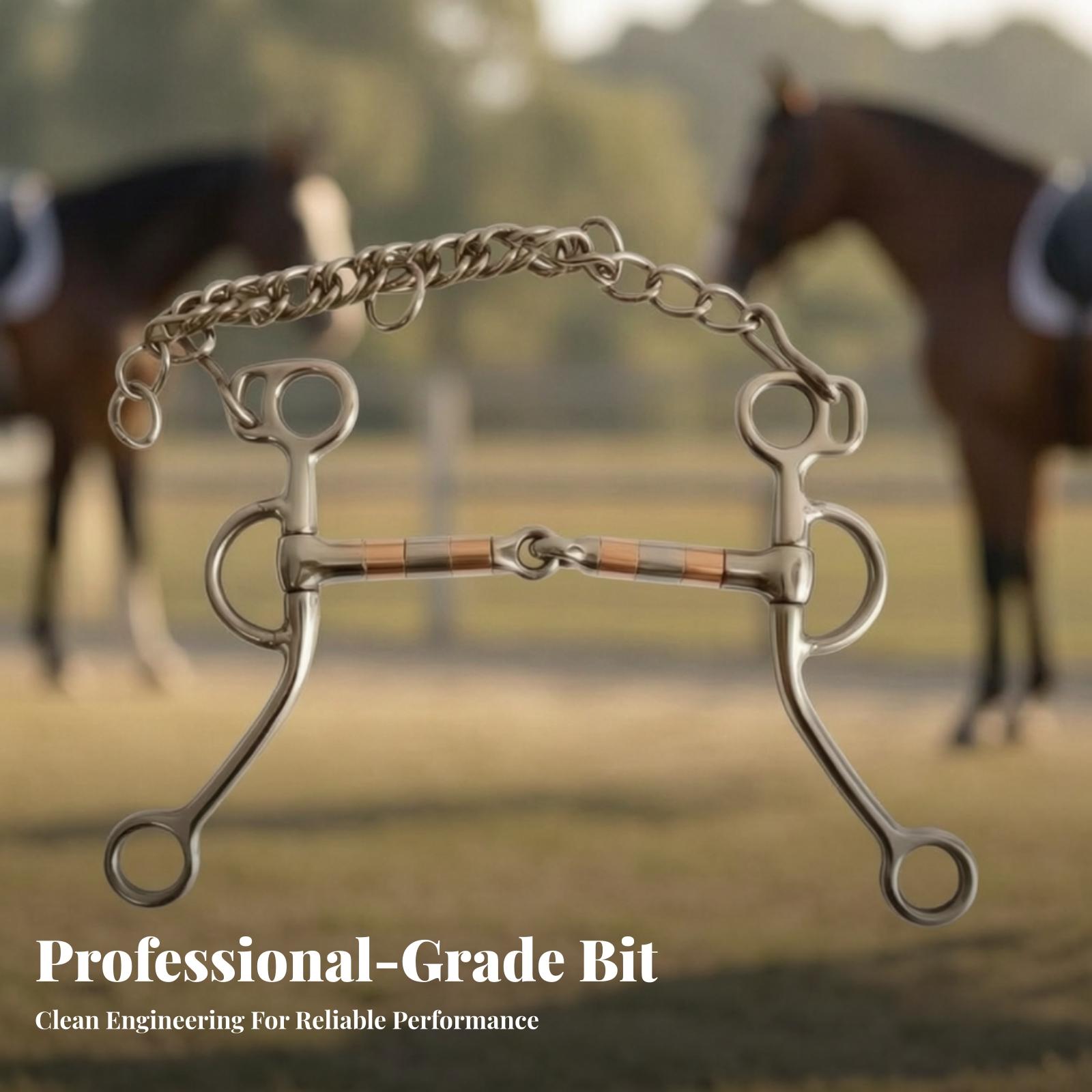 Horse Bit with Curb Chain Stai - Woodworking Joints ulasan dan harga