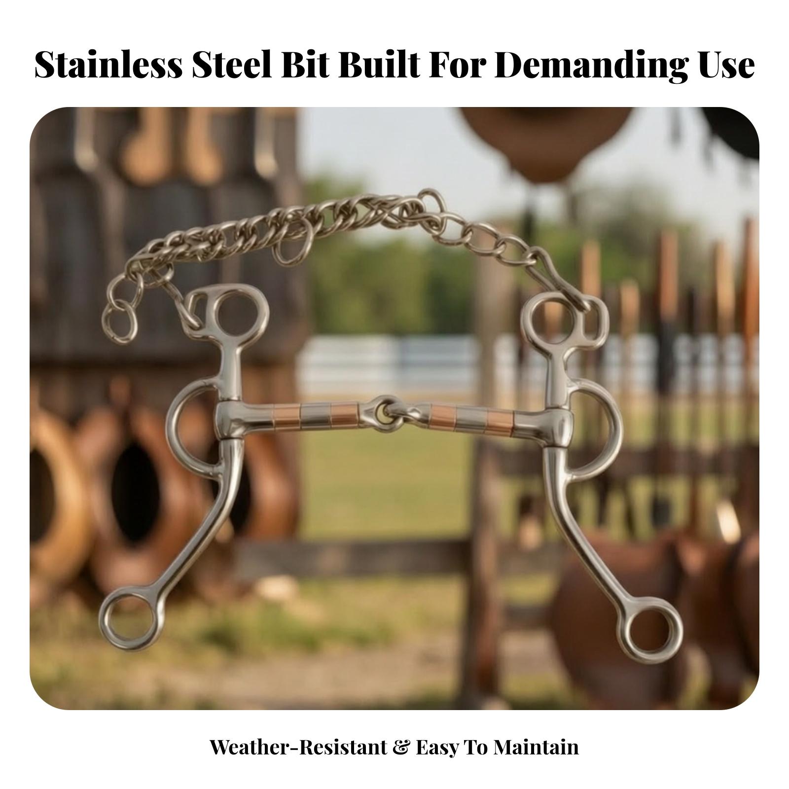 Horse Bit with Curb Chain Stai - Woodworking Joints ulasan dan harga