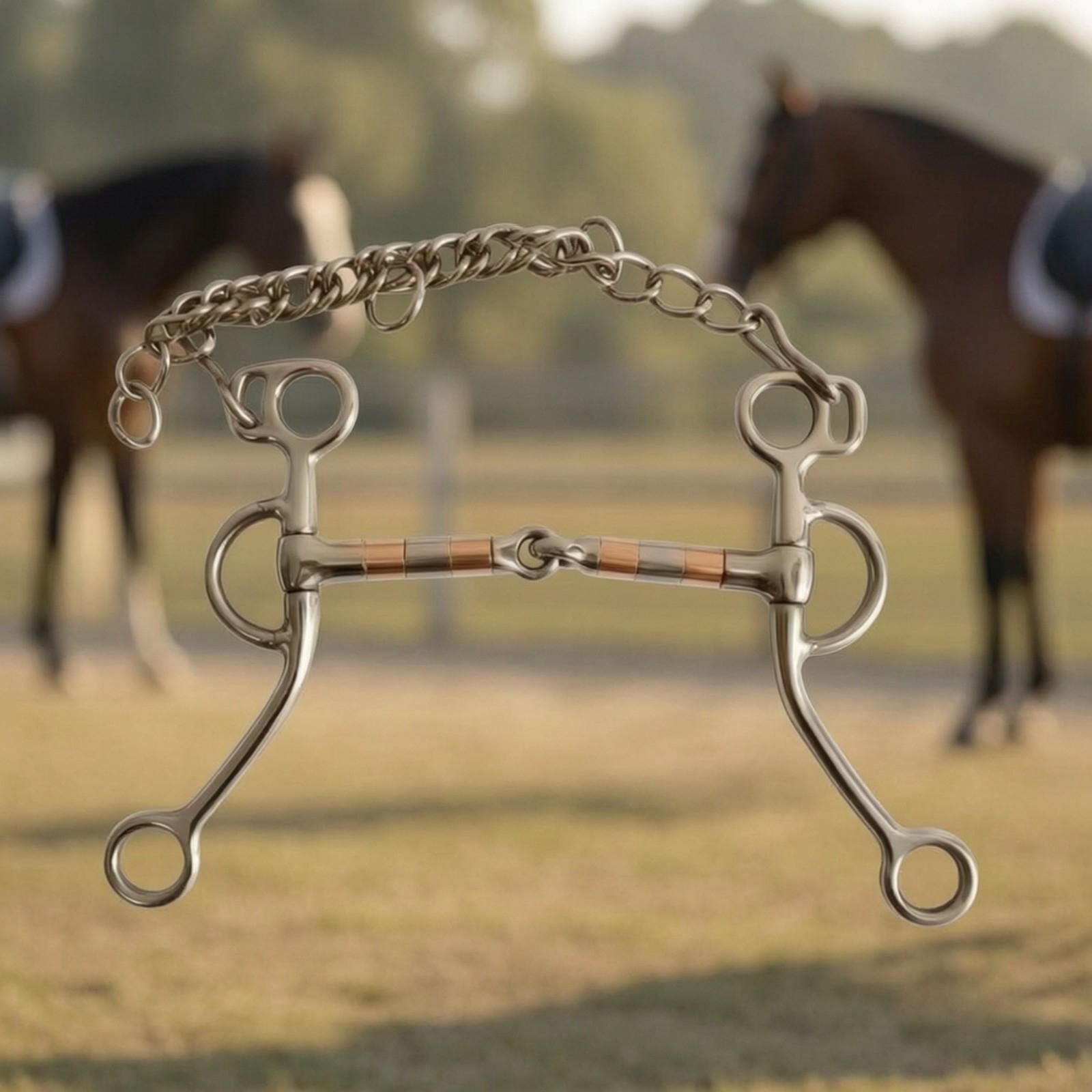 Horse Bit with Curb Chain Stai - Woodworking Joints ulasan dan harga